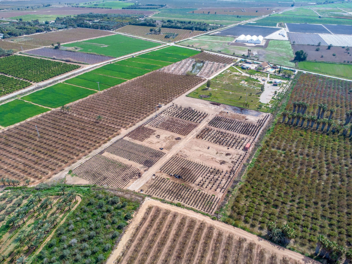 For sale - 5 Bedroom 3 Bathroom House - Finca - Cortijo in Crevillente - Crevillent - Crevillente - Crevillent Centro  - Alicante