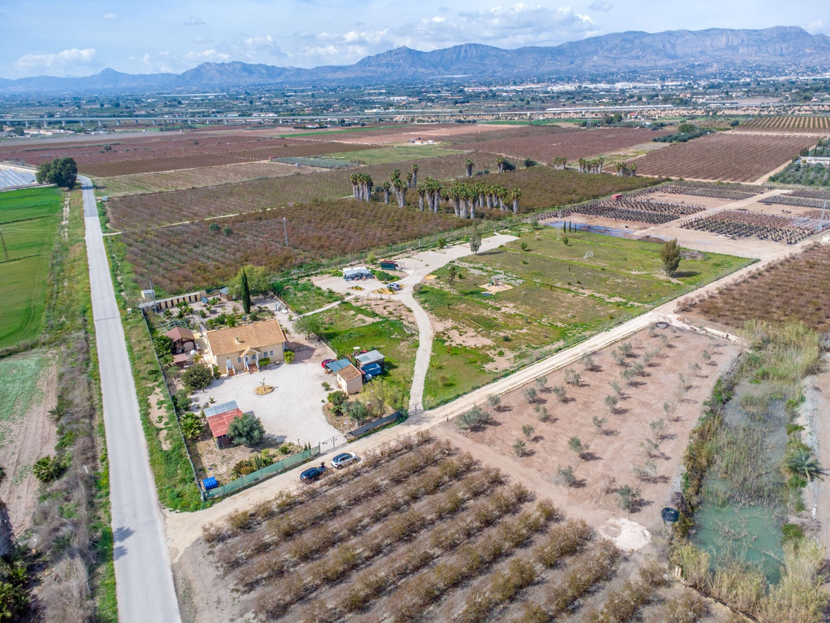 For sale - 5 Bedroom 3 Bathroom House - Finca - Cortijo in Crevillente - Crevillent - Crevillente - Crevillent Centro  - Alicante