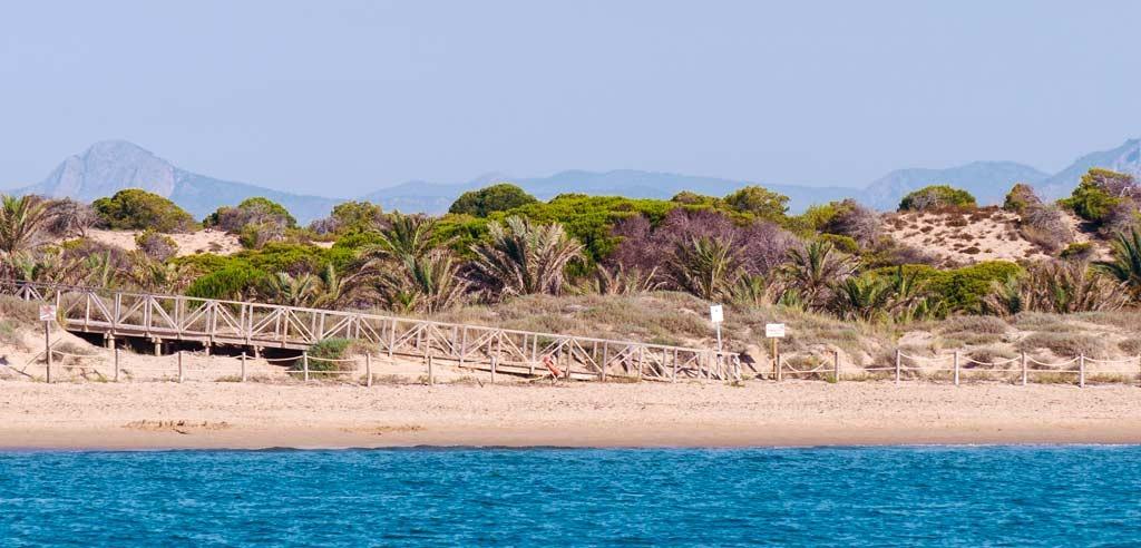 For sale - 2 Bedroom 2 Bathroom Penthouse in Guardamar del Segura - Pueblo  - Alicante