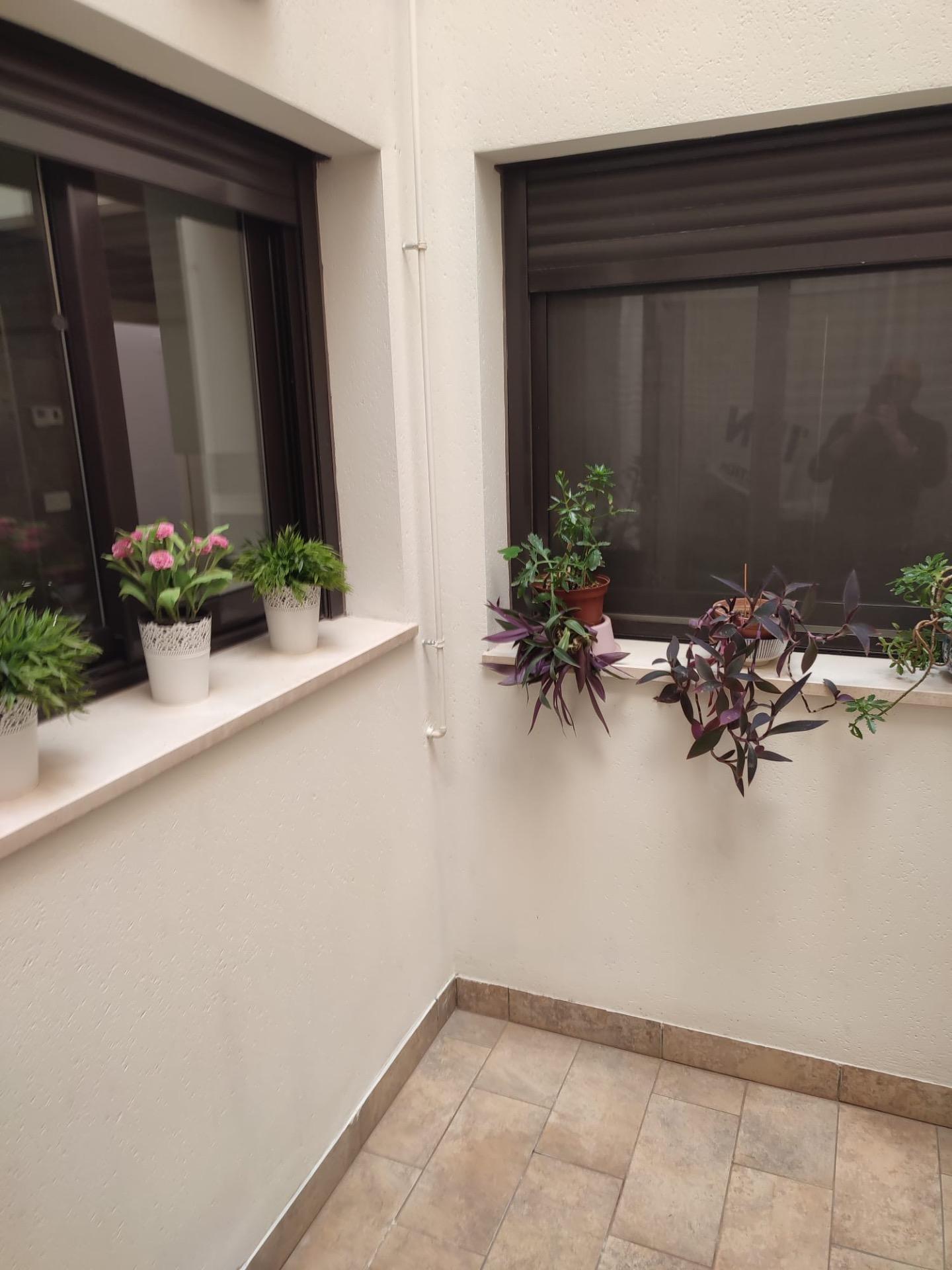 For sale - 4 Bedroom 2 Bathroom Apartment in Orihuela - Zona Centro  - Alicante