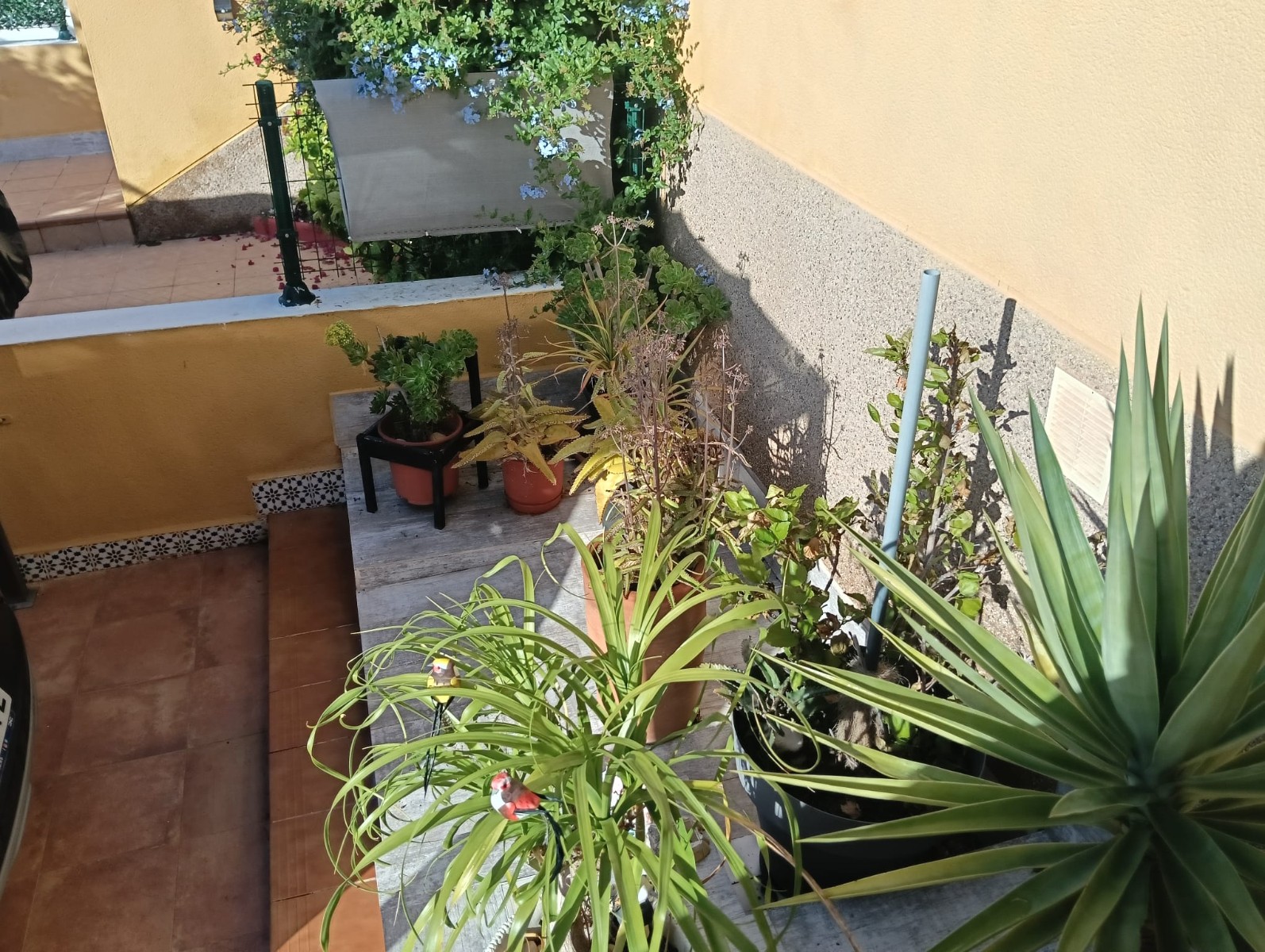 For sale - 2 Bedroom 1 Bathroom Apartment Flat in Los Montesinos - La herrada  - Alicante