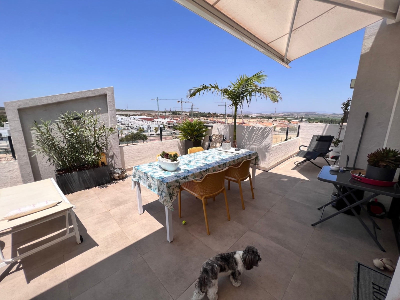 For sale - 2 Bedroom 1 Bathroom Apartment Flat in San Miguel de Salinas - San Miguel Salinas  - Alicante