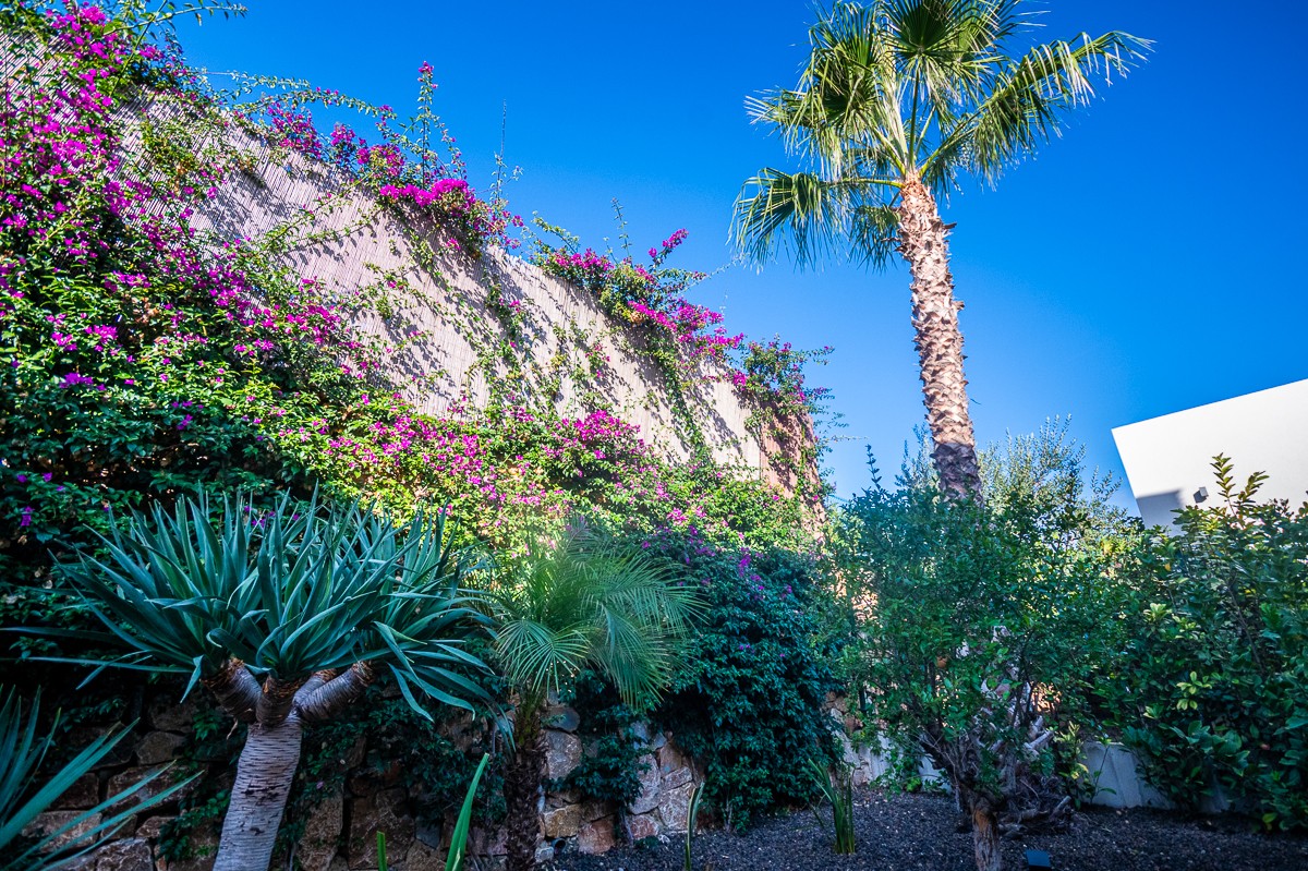 For sale - 2 Bedroom 2 Bathroom Villa in Algorfa - Inland  - Alicante