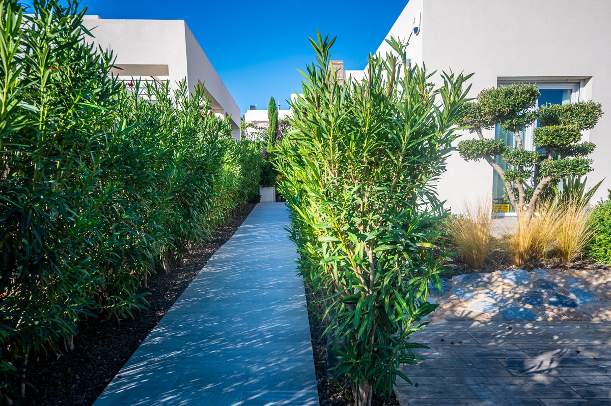 For sale - 2 Bedroom 2 Bathroom Villa in Algorfa - Inland  - Alicante