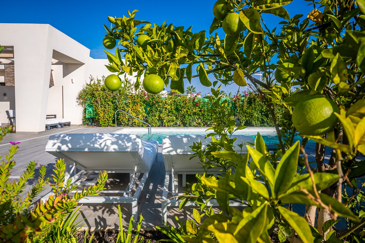 For sale - 2 Bedroom 2 Bathroom Villa in Algorfa - Inland  - Alicante