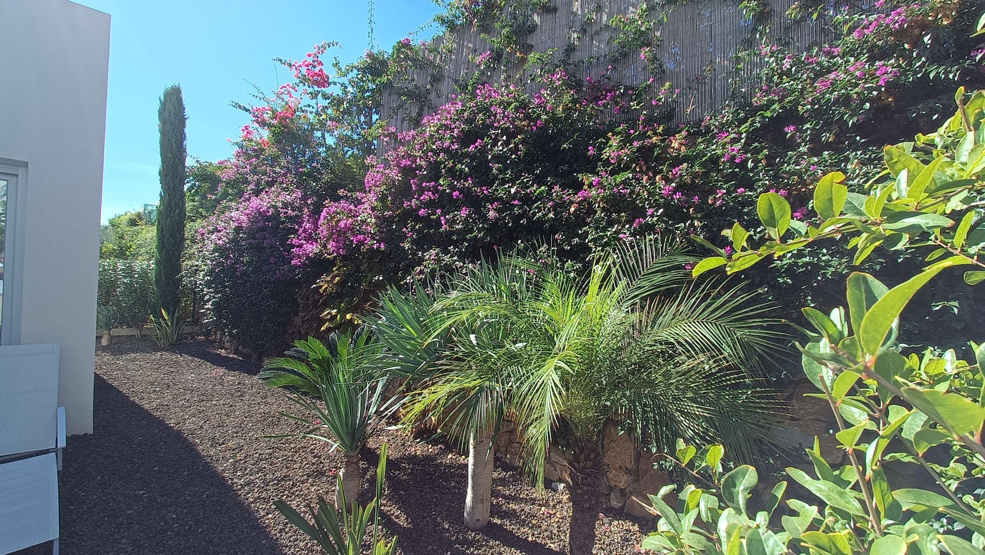 For sale - 2 Bedroom 2 Bathroom Villa in Algorfa - Inland  - Alicante