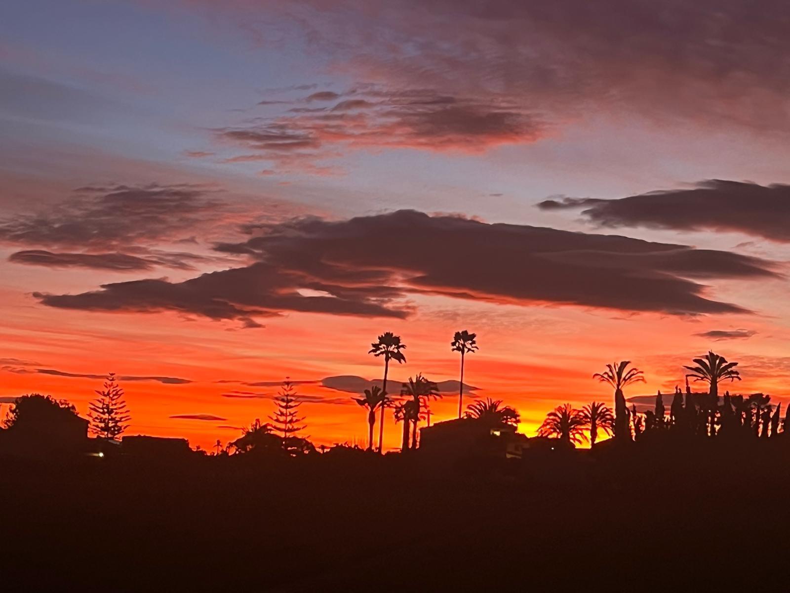 For sale - 7 Bedroom 5 Bathroom Villa in Dolores - Comunidad Valenciana  - Alicante