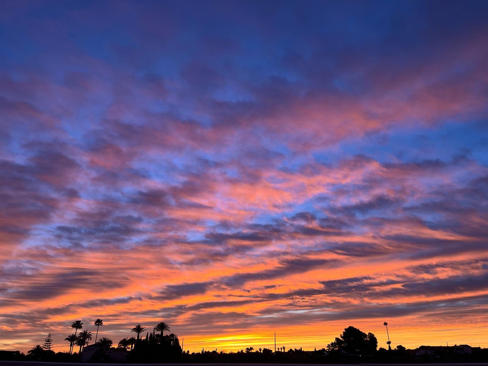 For sale - 7 Bedroom 5 Bathroom Villa in Dolores - Comunidad Valenciana  - Alicante