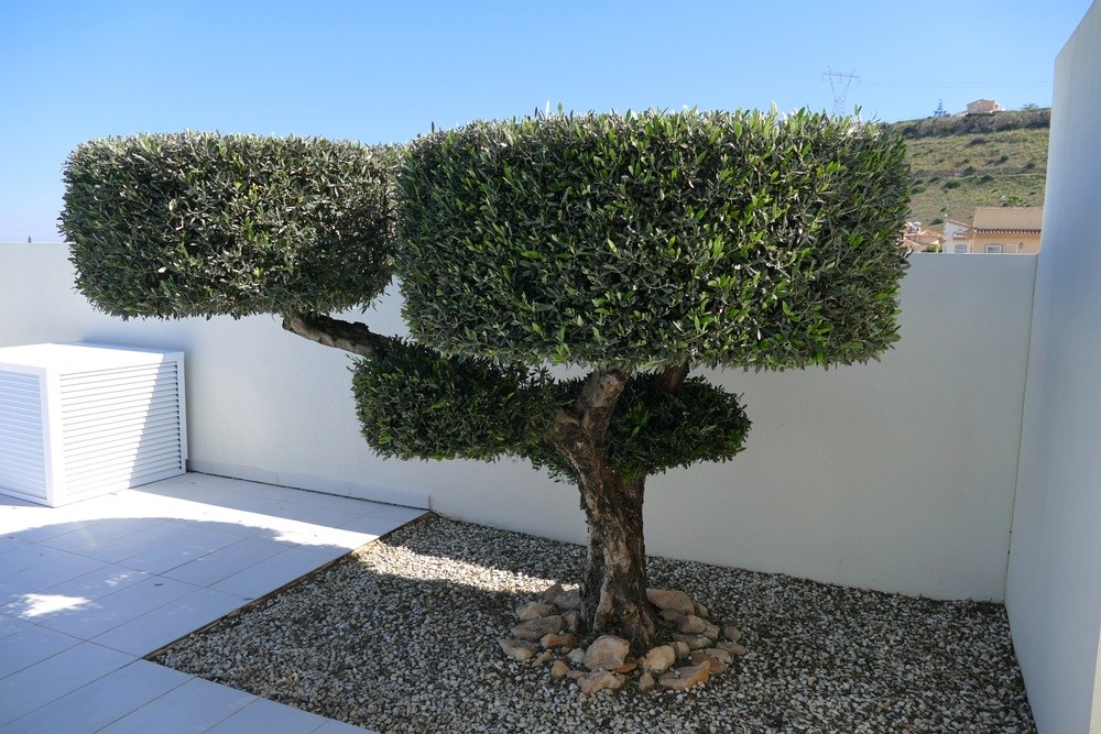 For sale - 4 Bedroom 2 Bathroom Villa in Benijofar - Costa Blanca  - Alicante