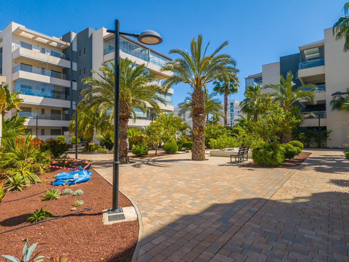 For sale - 3 Bedroom 2 Bathroom Apartment - Ground Floor Apartment in Orihuela - Los Dolses  - Alicante