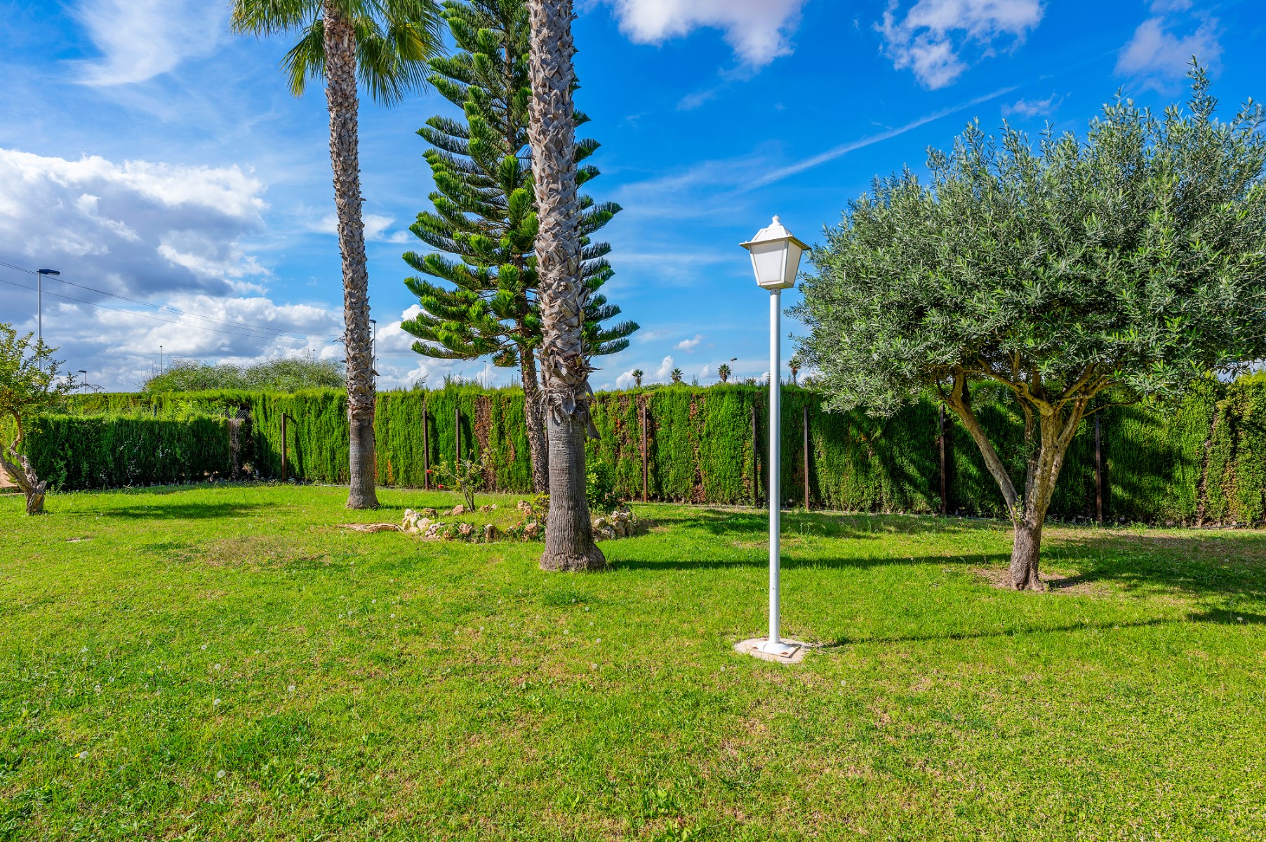 For sale - 2 Bedroom 1 Bathroom Penthouse Apartment in Torrevieja - Torrevieja  - Alicante