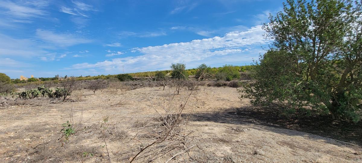 For sale - 1 Bedroom 1 Bathroom House - Finca - Cortijo in San Miguel de Salinas - San Miguel de Salinas Centro  - Alicante