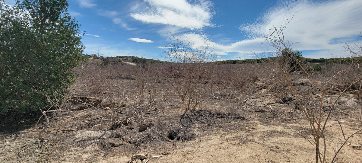 For sale - 1 Bedroom 1 Bathroom House - Finca - Cortijo in San Miguel de Salinas - San Miguel de Salinas Centro  - Alicante