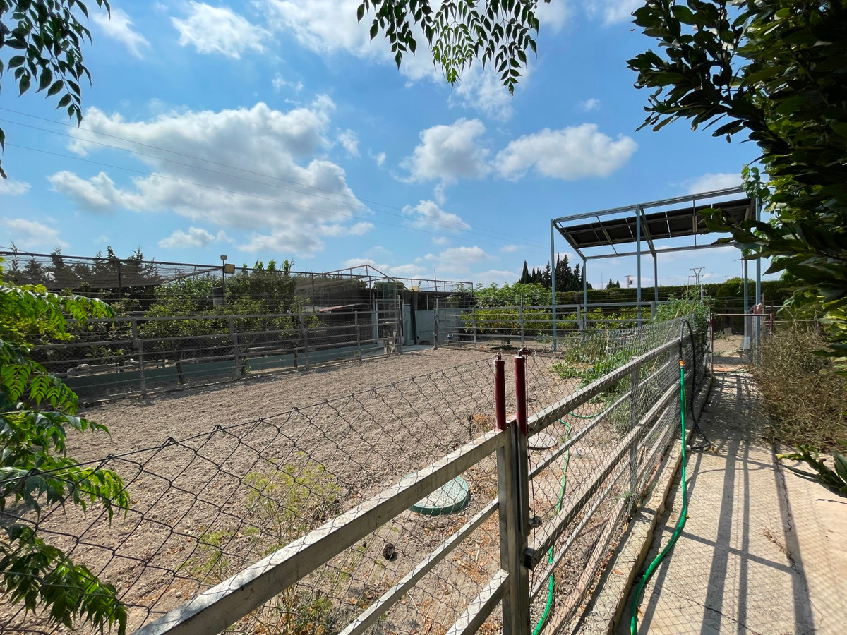 For sale - 4 Bedroom 4 Bathroom House - Detached Villa in San Fulgencio - La Marina  - Alicante