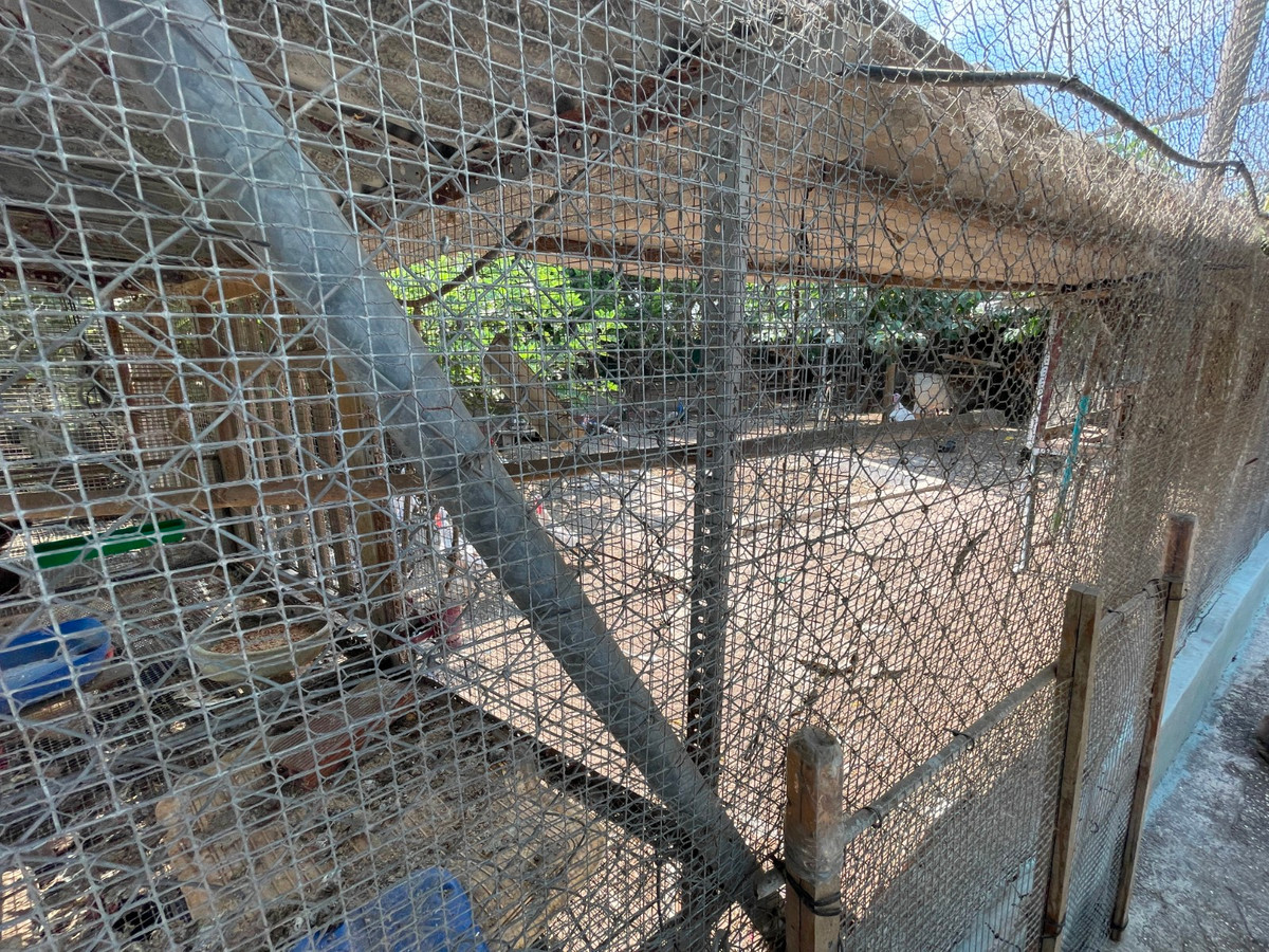 For sale - 4 Bedroom 4 Bathroom House - Detached Villa in San Fulgencio - La Marina  - Alicante