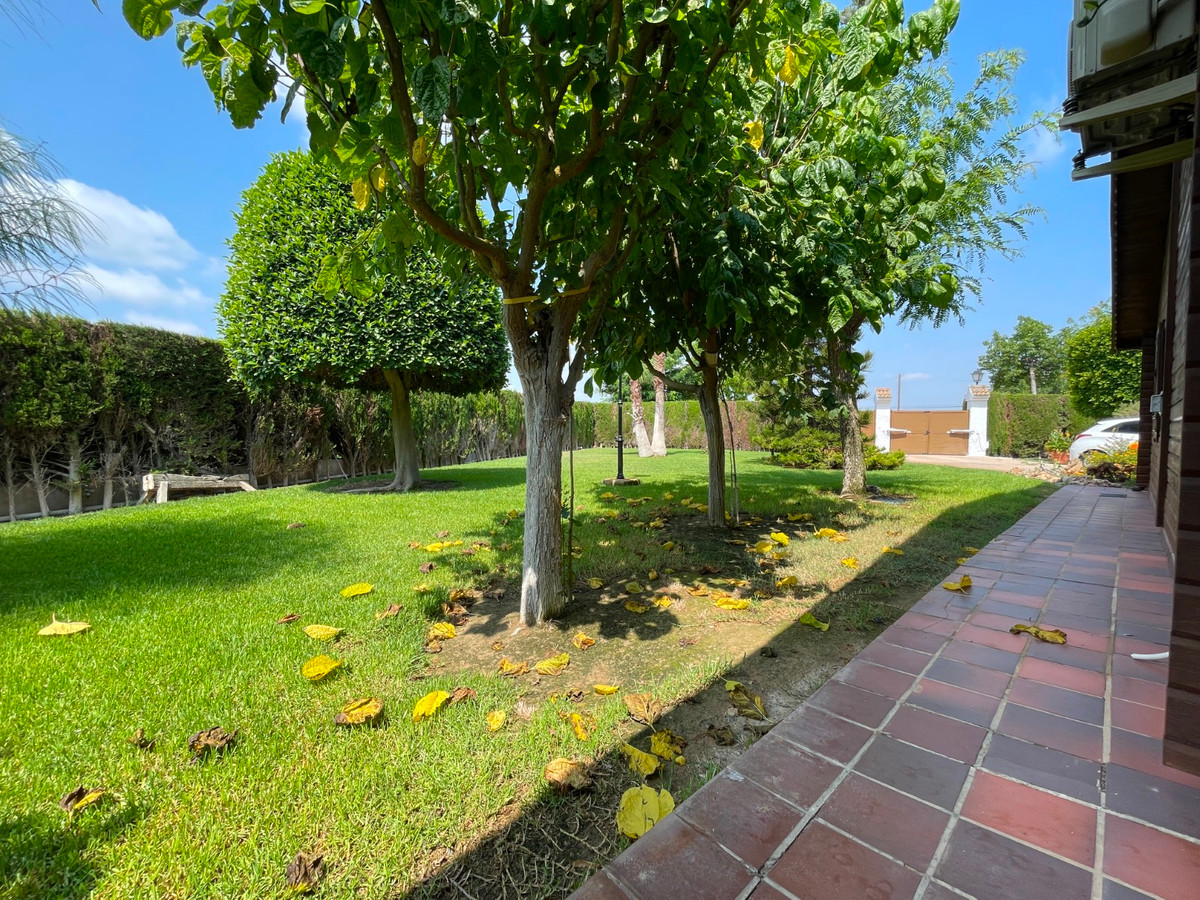 For sale - 4 Bedroom 4 Bathroom House - Detached Villa in San Fulgencio - La Marina  - Alicante