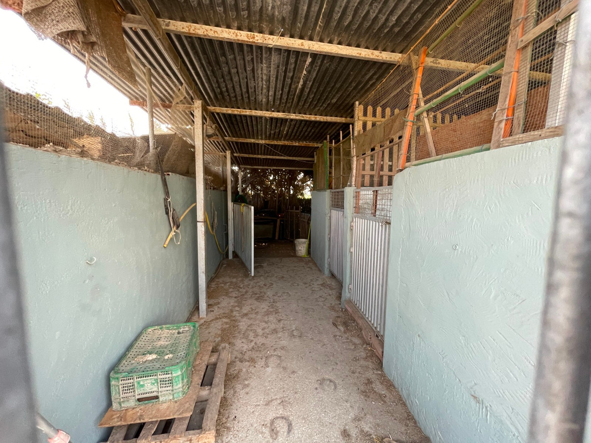 For sale - 4 Bedroom 4 Bathroom House - Detached Villa in San Fulgencio - La Marina  - Alicante