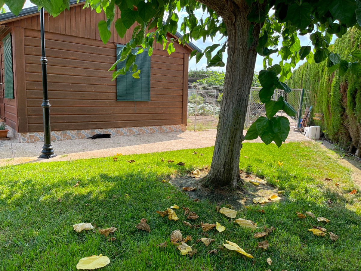 For sale - 4 Bedroom 4 Bathroom House - Detached Villa in San Fulgencio - La Marina  - Alicante