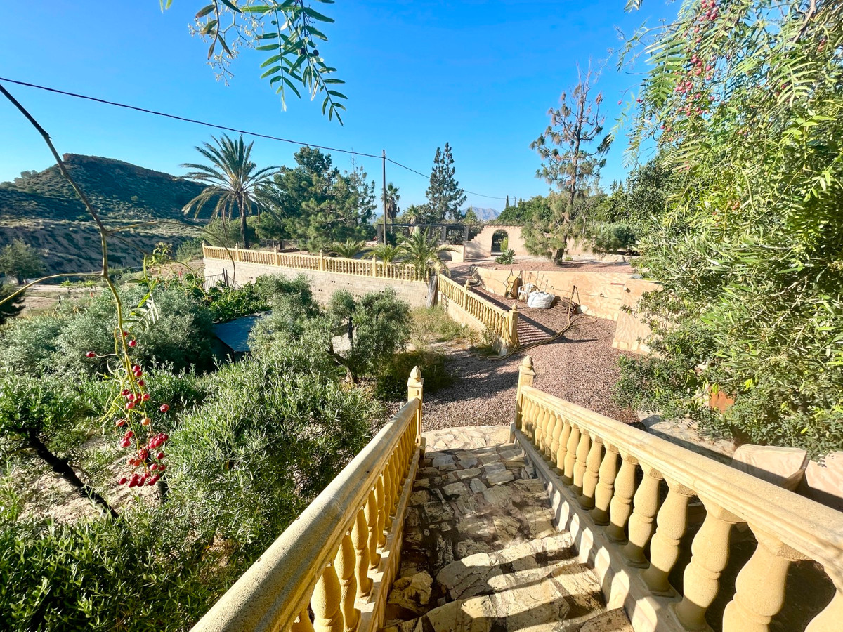 For sale - 5 Bedroom 4 Bathroom House - Finca - Cortijo in Crevillente - Crevillent - Crevillente - Crevillent Centro  - Alicante