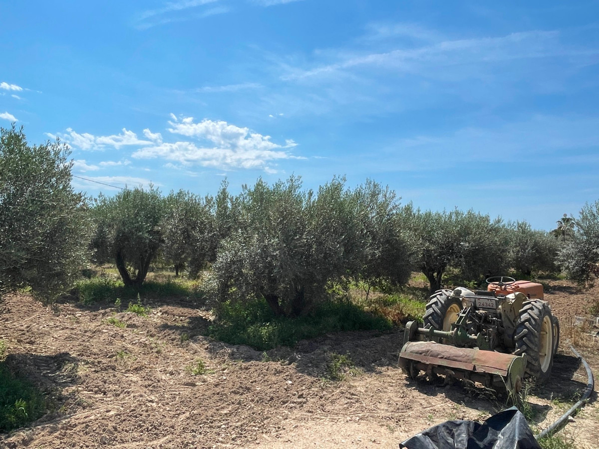 For sale - 4 Bedroom 2 Bathroom House - Detached Villa in Crevillente - Crevillent - Crevillente - Crevillent Centro  - Alicante