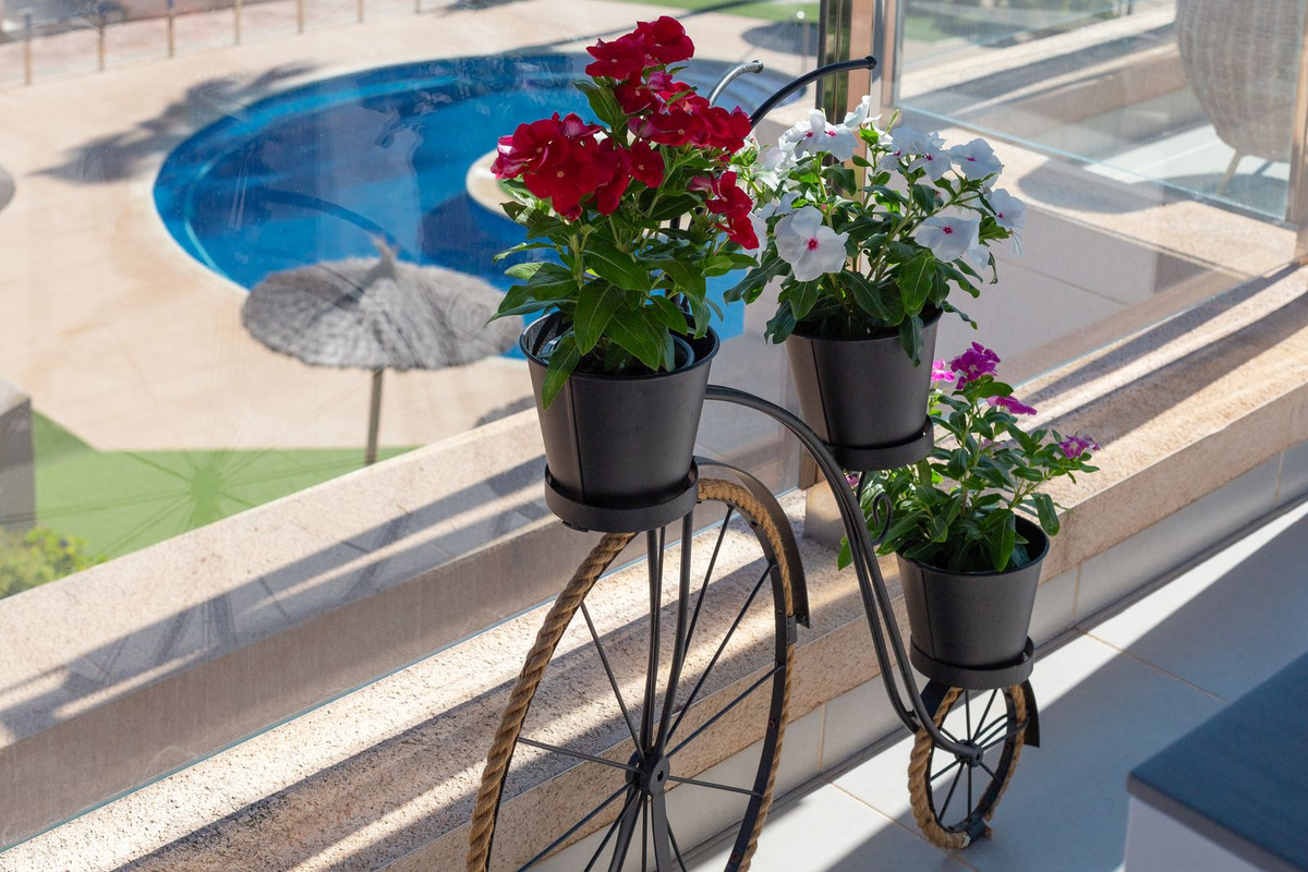 For sale - 2 Bedroom 2 Bathroom Apartment - Penthouse in Orihuela - Mil Palmeras  - Alicante