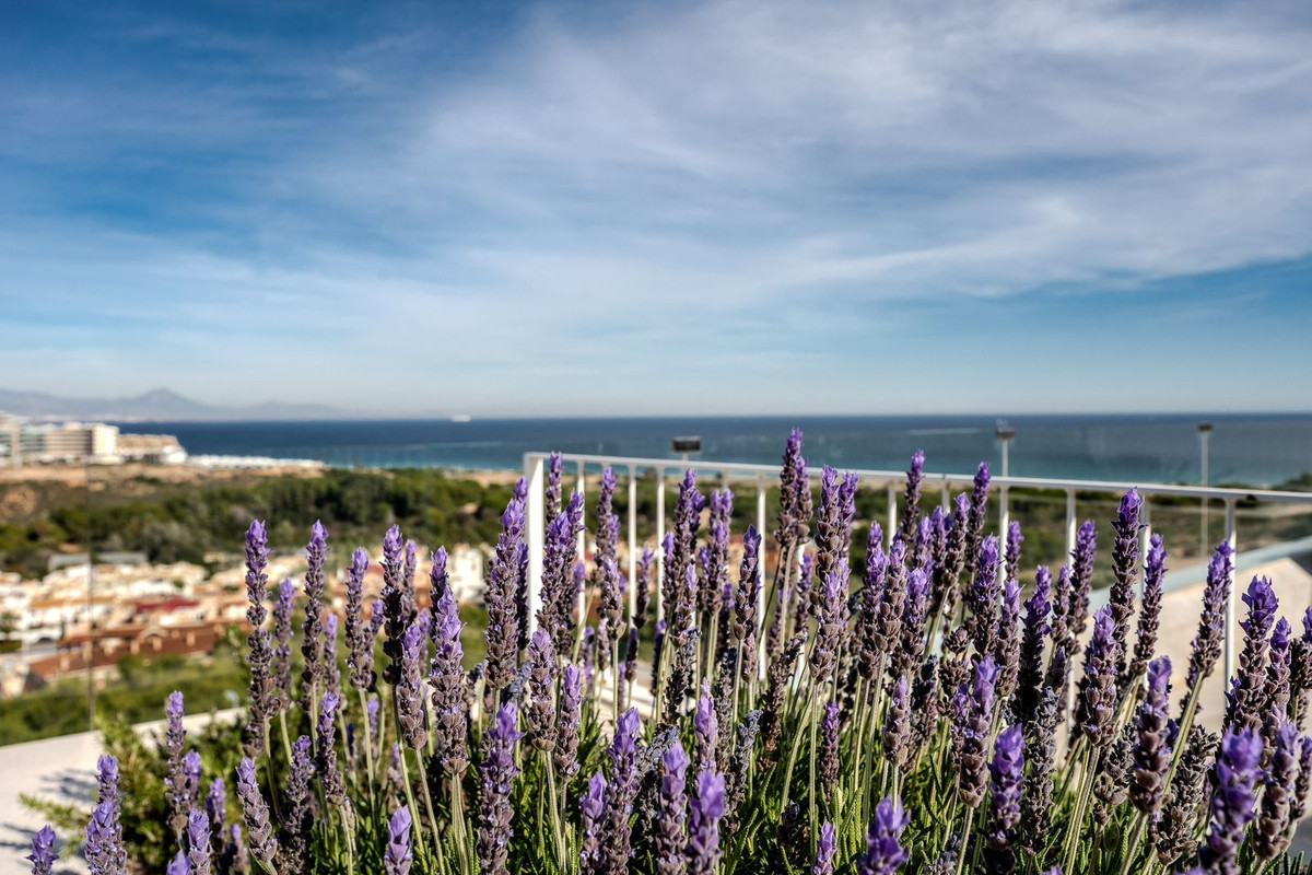 For sale - 3 Bedroom 2 Bathroom Apartment - Penthouse in Santa Pola - Gran Alacant  - Alicante