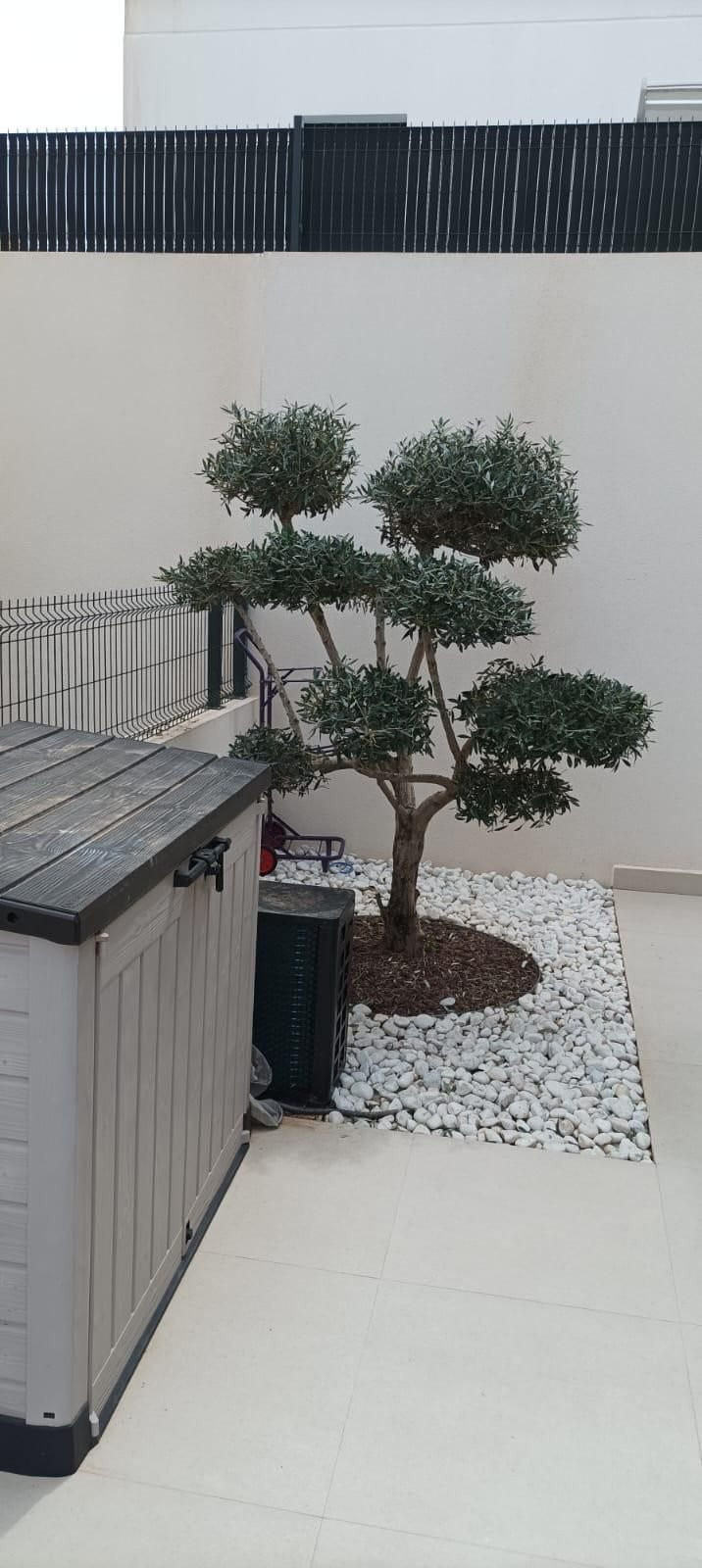 For sale - 5 Bedroom 4 Bathroom House - Detached Villa in Algorfa - La Finca Golf  - Alicante