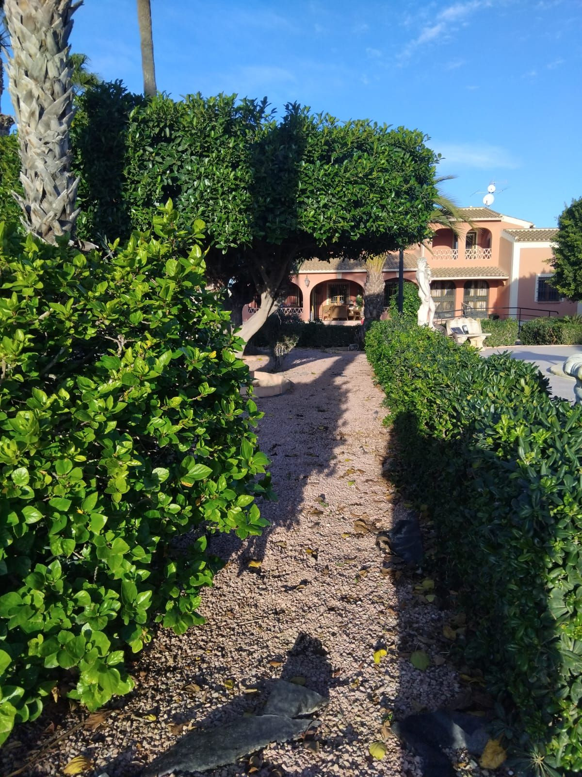 For sale - 5 Bedroom 3 Bathroom House - Detached Villa in Dolores - Dolores Centro  - Alicante