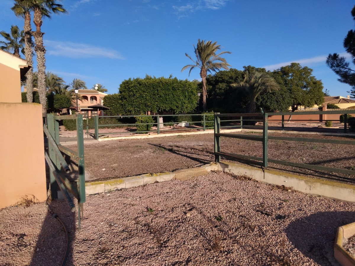 For sale - 5 Bedroom 3 Bathroom House - Detached Villa in Dolores - Dolores Centro  - Alicante