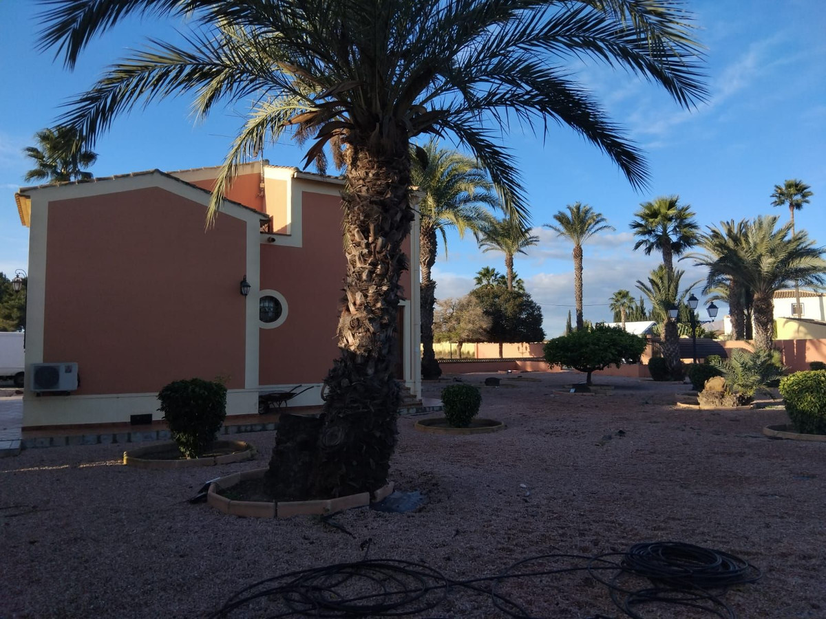 For sale - 5 Bedroom 3 Bathroom House - Detached Villa in Dolores - Dolores Centro  - Alicante