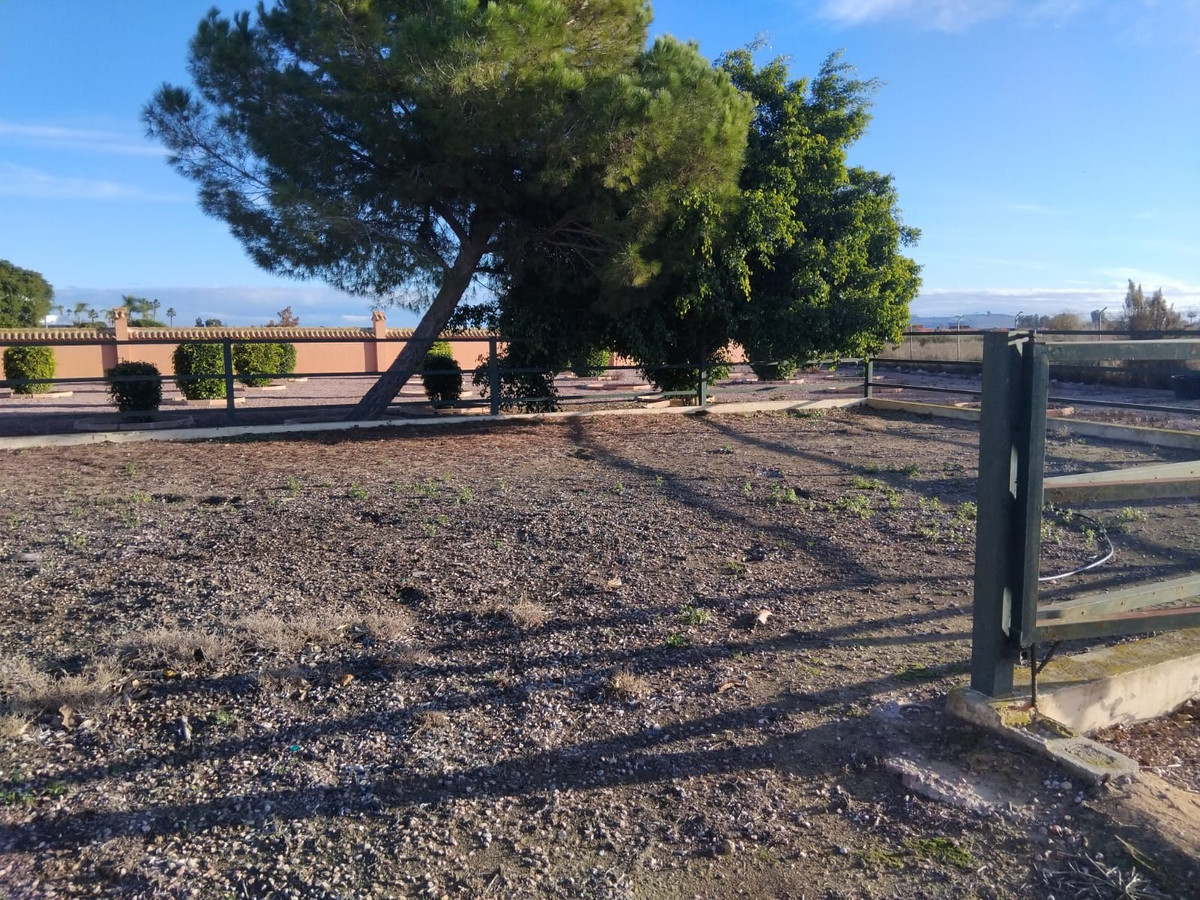 For sale - 5 Bedroom 3 Bathroom House - Detached Villa in Dolores - Dolores Centro  - Alicante