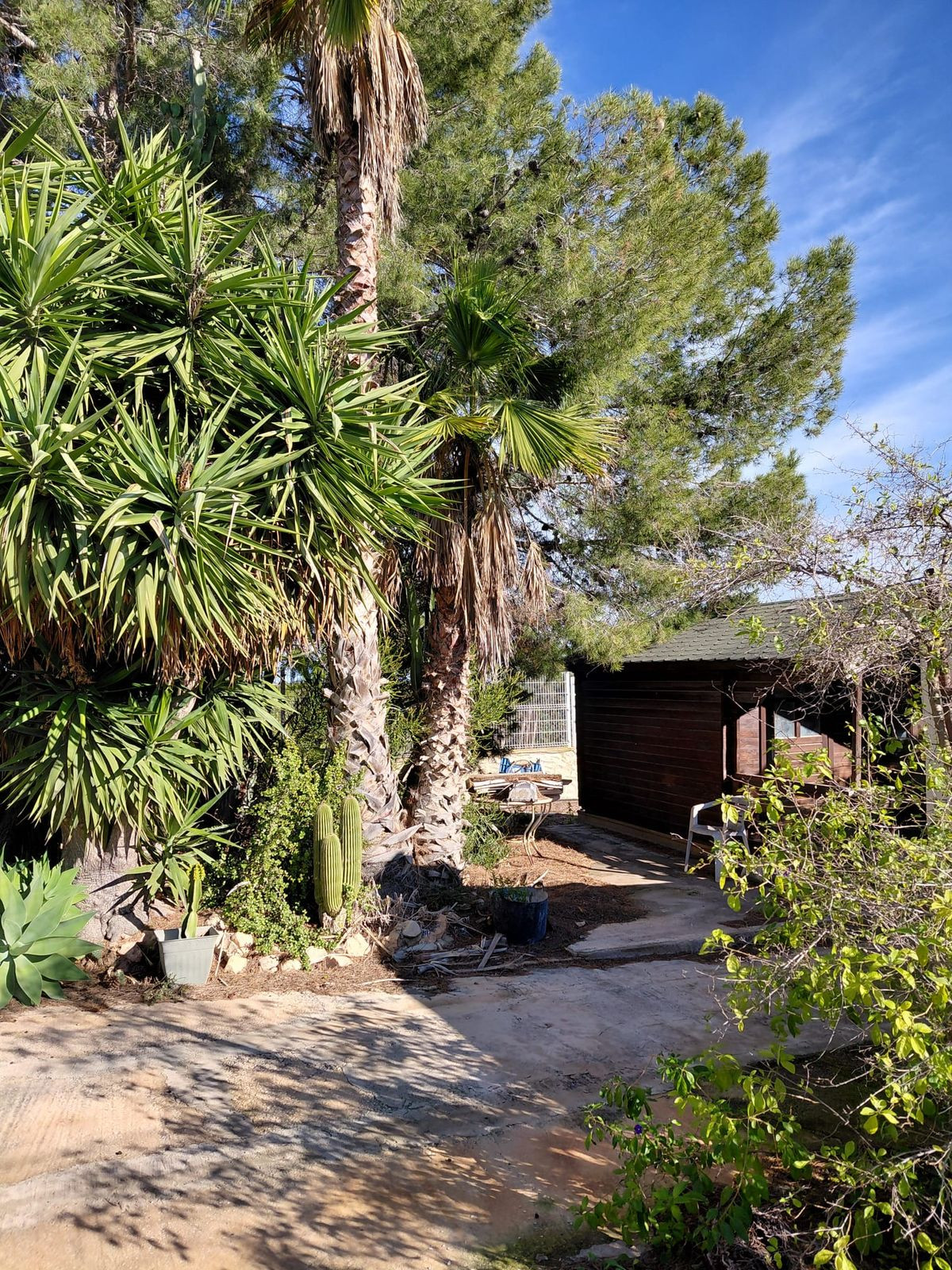 For sale - 3 Bedroom 3 Bathroom House - Finca - Cortijo in Orihuela - La Murada  - Alicante