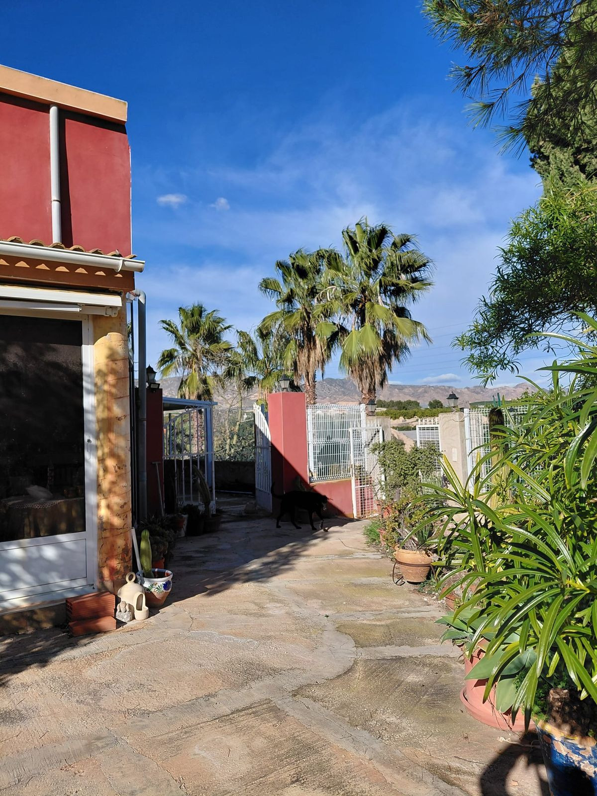 For sale - 3 Bedroom 3 Bathroom House - Finca - Cortijo in Orihuela - La Murada  - Alicante