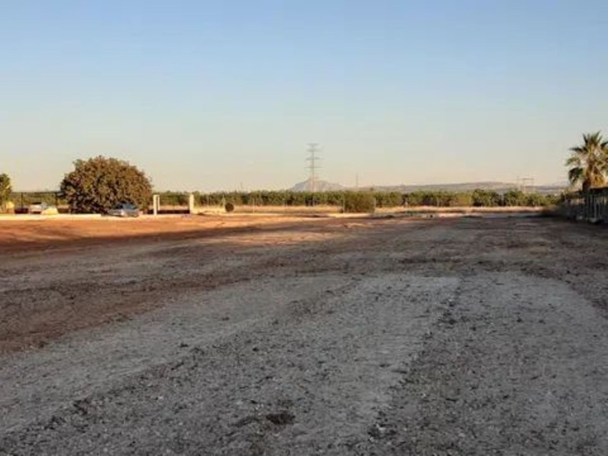 For sale - 6 Bedroom 3 Bathroom House - Detached Villa in San Miguel de Salinas - San Miguel de Salinas Centro  - Alicante