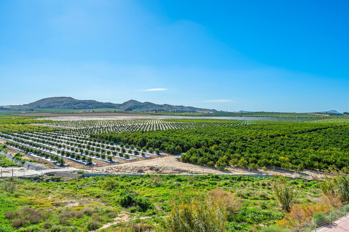 For sale - 2 Bedroom 1 Bathroom Apartment - Top Floor Apartment in Algorfa - Algorfa Centro  - Alicante