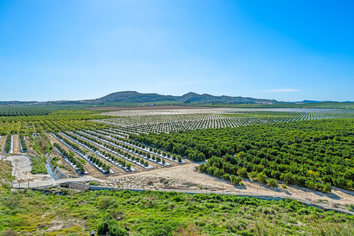 For sale - 2 Bedroom 1 Bathroom Apartment - Top Floor Apartment in Algorfa - Algorfa Centro  - Alicante