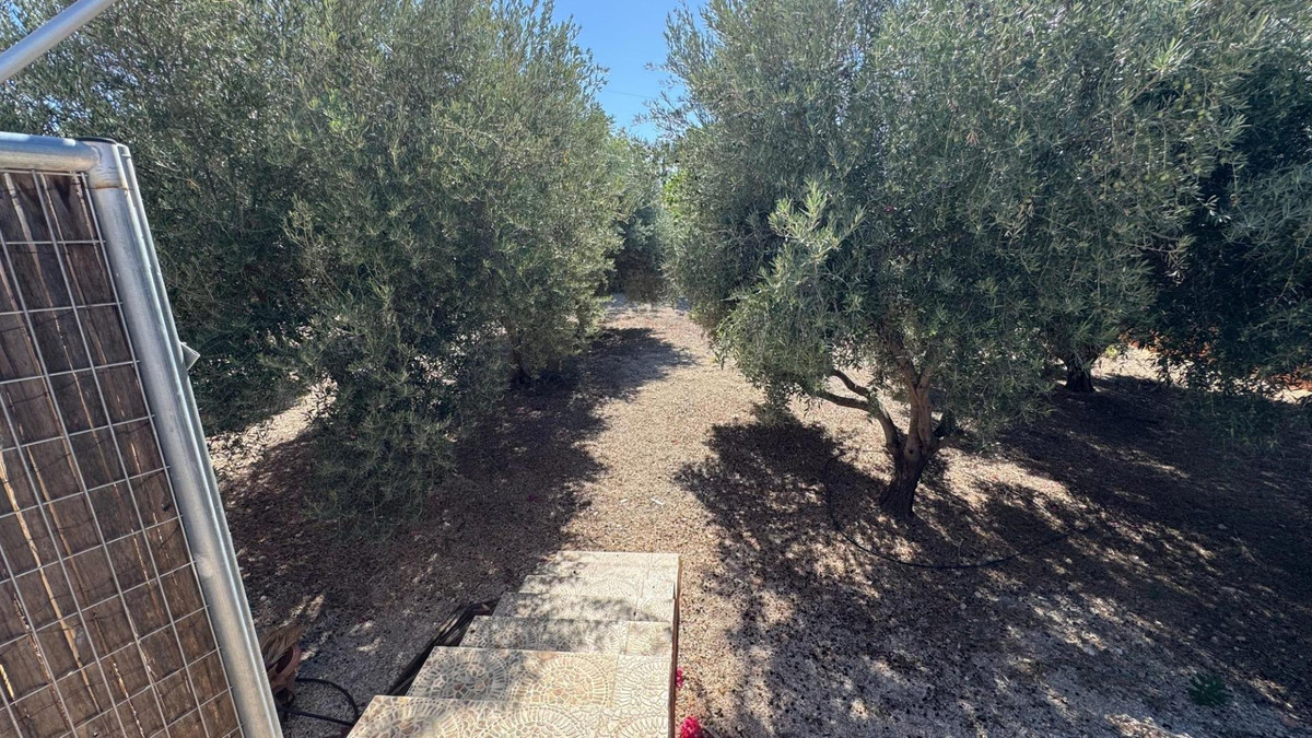For sale - 6 Bedroom 2 Bathroom House - Finca - Cortijo in Albatera - Albatera Centro  - Alicante