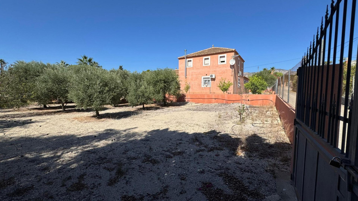 For sale - 6 Bedroom 2 Bathroom House - Finca - Cortijo in Albatera - Albatera Centro  - Alicante
