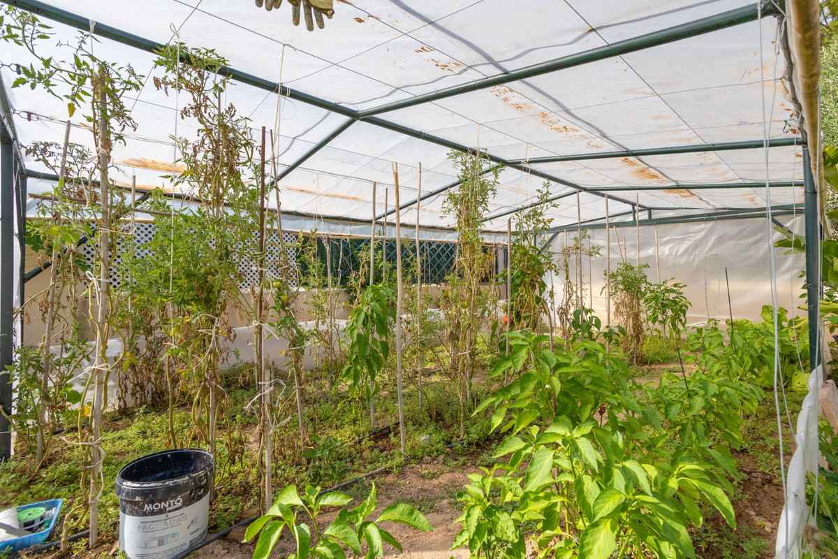 For sale - 4 Bedroom 4 Bathroom House - Detached Villa in Orihuela - Villamartin  - Alicante