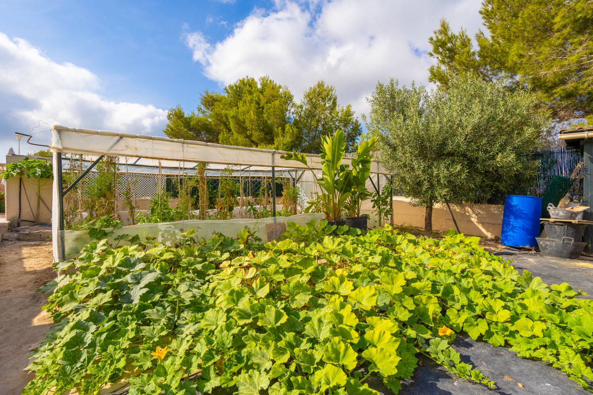 For sale - 4 Bedroom 4 Bathroom House - Detached Villa in Orihuela - Villamartin  - Alicante