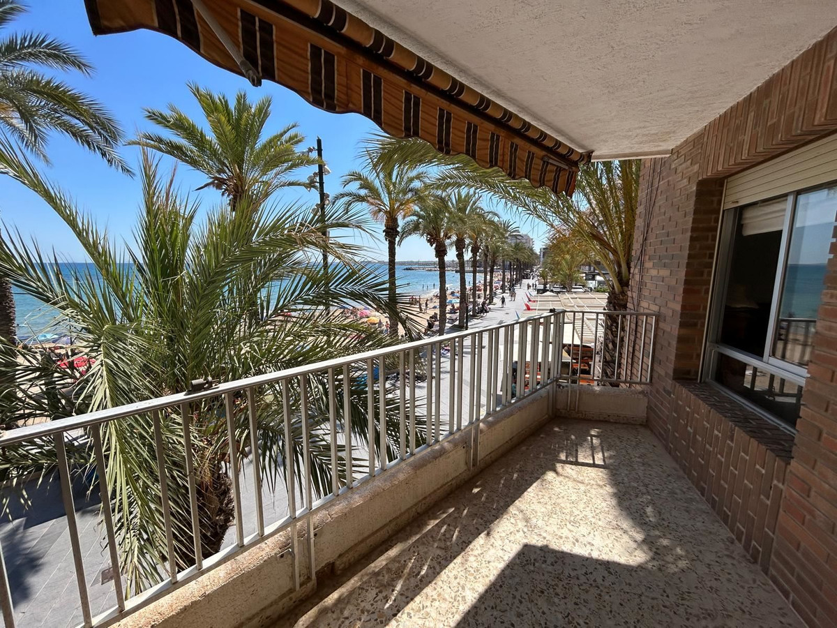 For sale - 3 Bedroom 2 Bathroom Apartment - Ground Floor Apartment in Torrevieja - Torrevieja Centro  - Alicante