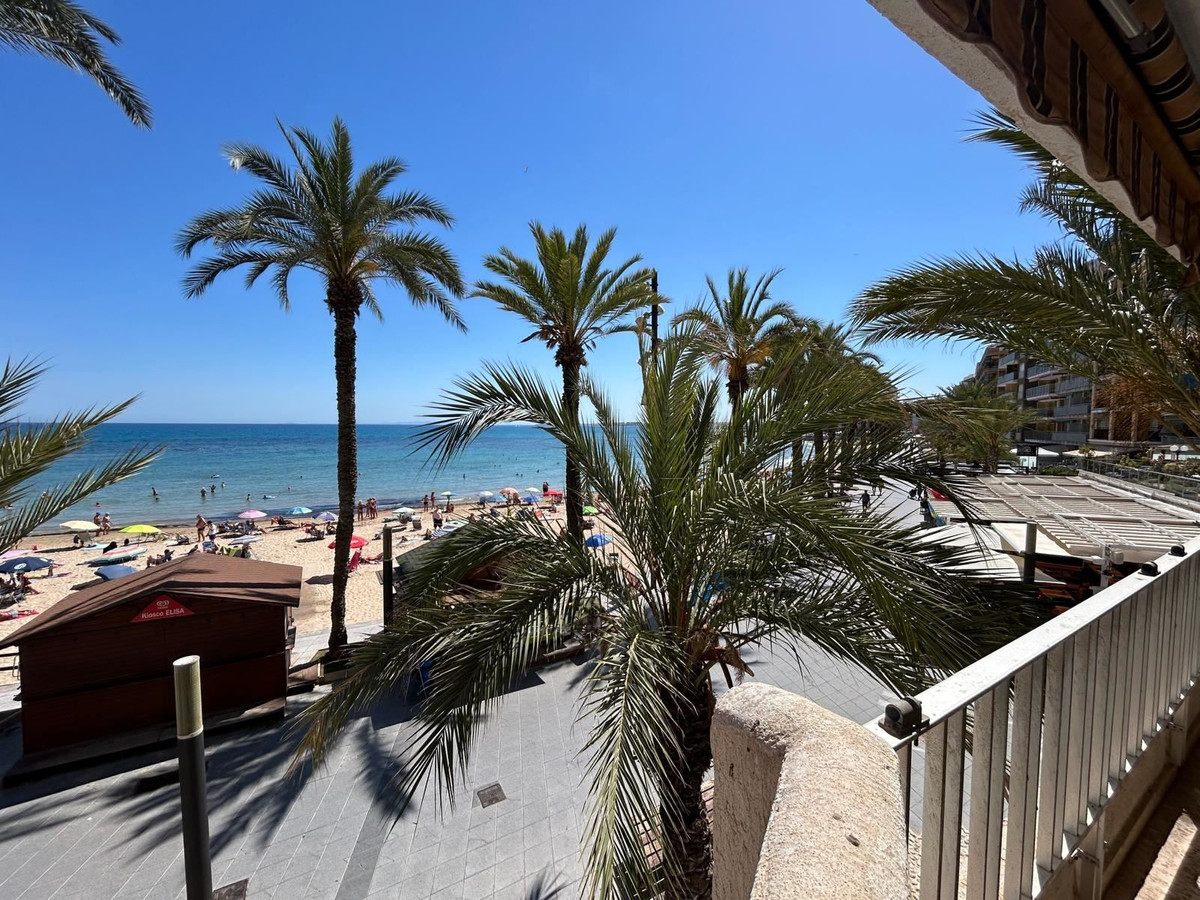 For sale - 3 Bedroom 2 Bathroom Apartment - Ground Floor Apartment in Torrevieja - Torrevieja Centro  - Alicante