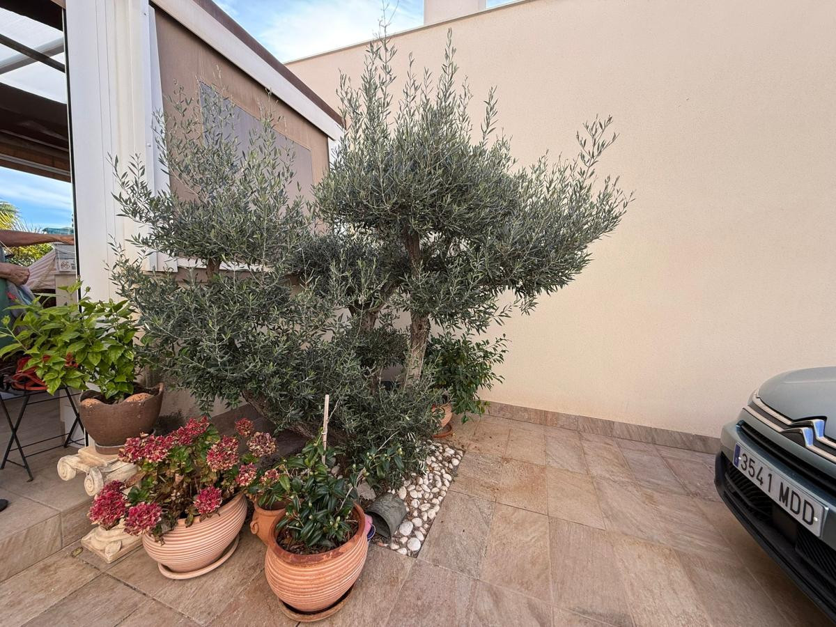 For sale - 3 Bedroom 3 Bathroom House - Detached Villa in Los Montesinos - Los Montesinos Centro  - Alicante