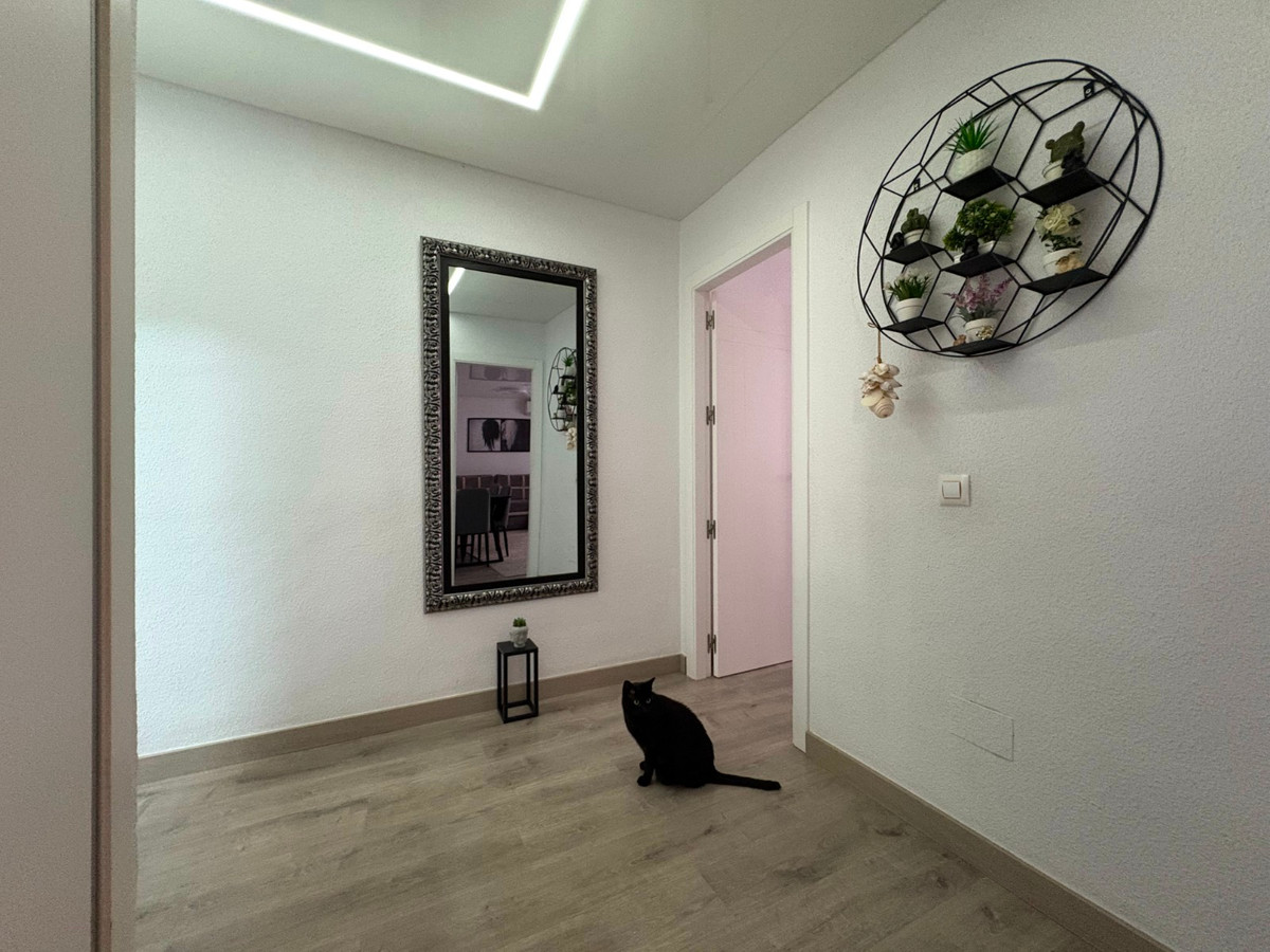 For sale - 4 Bedroom 2 Bathroom Apartment - Ground Floor Apartment in Torrevieja - Torrevieja Centro  - Alicante
