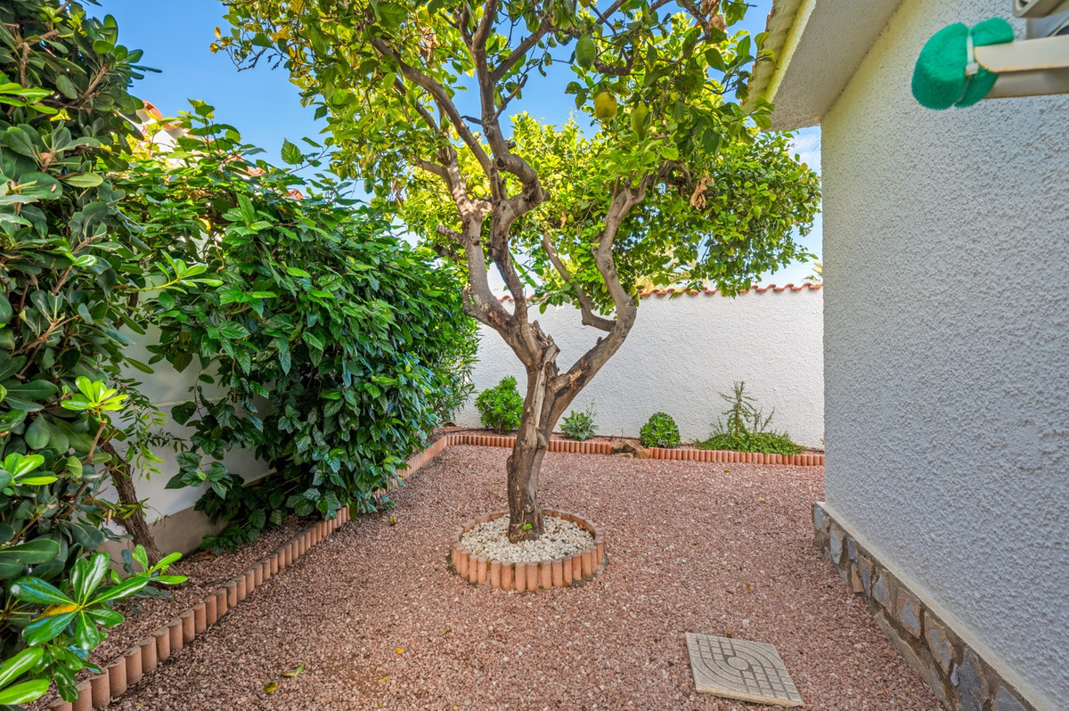 For sale - 3 Bedroom 2 Bathroom House - Detached Villa in Rojales - Rojales Centro  - Alicante