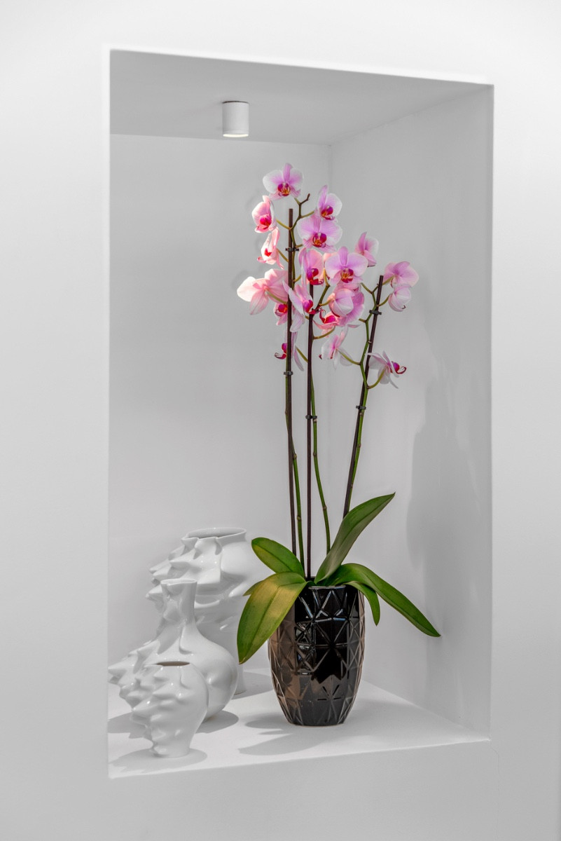 For sale - 4 Bedroom 3 Bathroom House - Detached Villa in Guardamar del Segura - Guardamar del Segura Centro  - Alicante