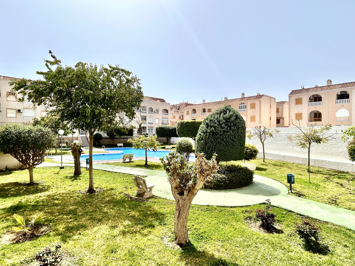 For sale - 2 Bedroom 1 Bathroom Apartment - Ground Floor Apartment in Torrevieja - Torrevieja Centro  - Alicante