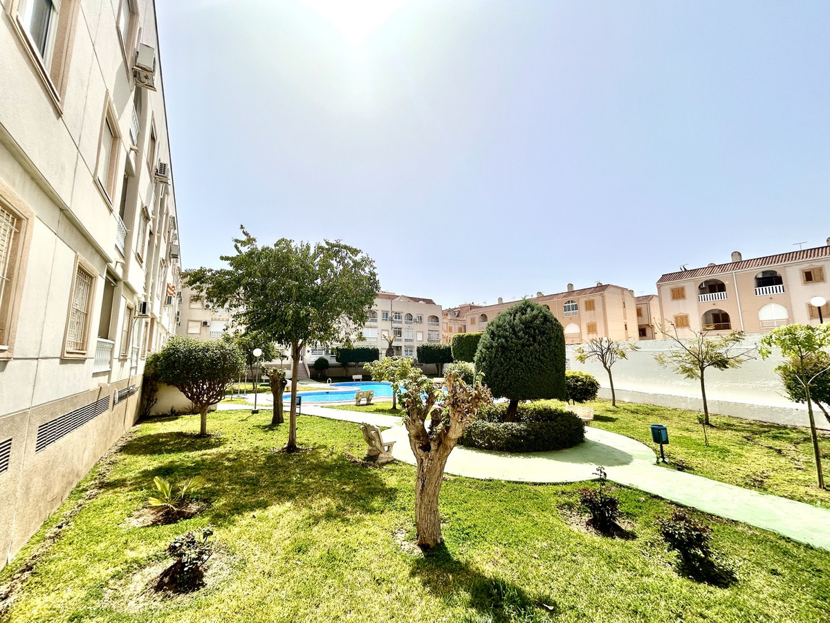 For sale - 2 Bedroom 1 Bathroom Apartment - Ground Floor Apartment in Torrevieja - Torrevieja Centro  - Alicante