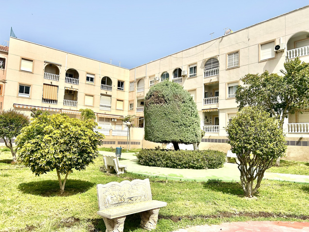 For sale - 2 Bedroom 1 Bathroom Apartment - Ground Floor Apartment in Torrevieja - Torrevieja Centro  - Alicante