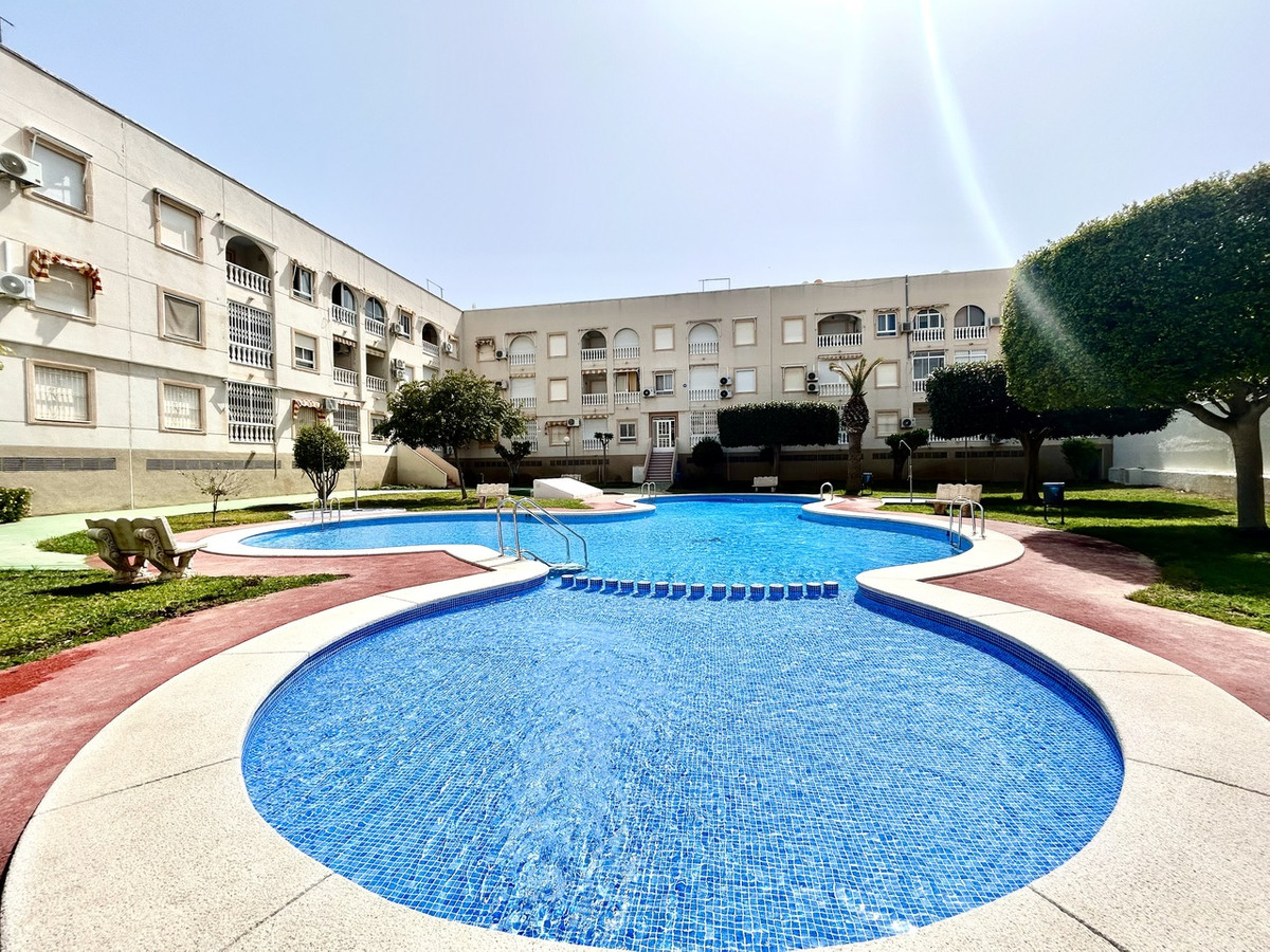 For sale - 2 Bedroom 1 Bathroom Apartment - Ground Floor Apartment in Torrevieja - Torrevieja Centro  - Alicante
